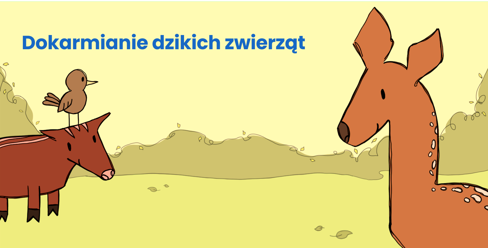 Zimą dokarmianie dzikich zwierząt budzi kontrowersje – jedni widzą w nim zagrożenie, inni konieczną pomoc w trudnych warunkach. Jak robić to mądrze, by nie zaszkodzić?