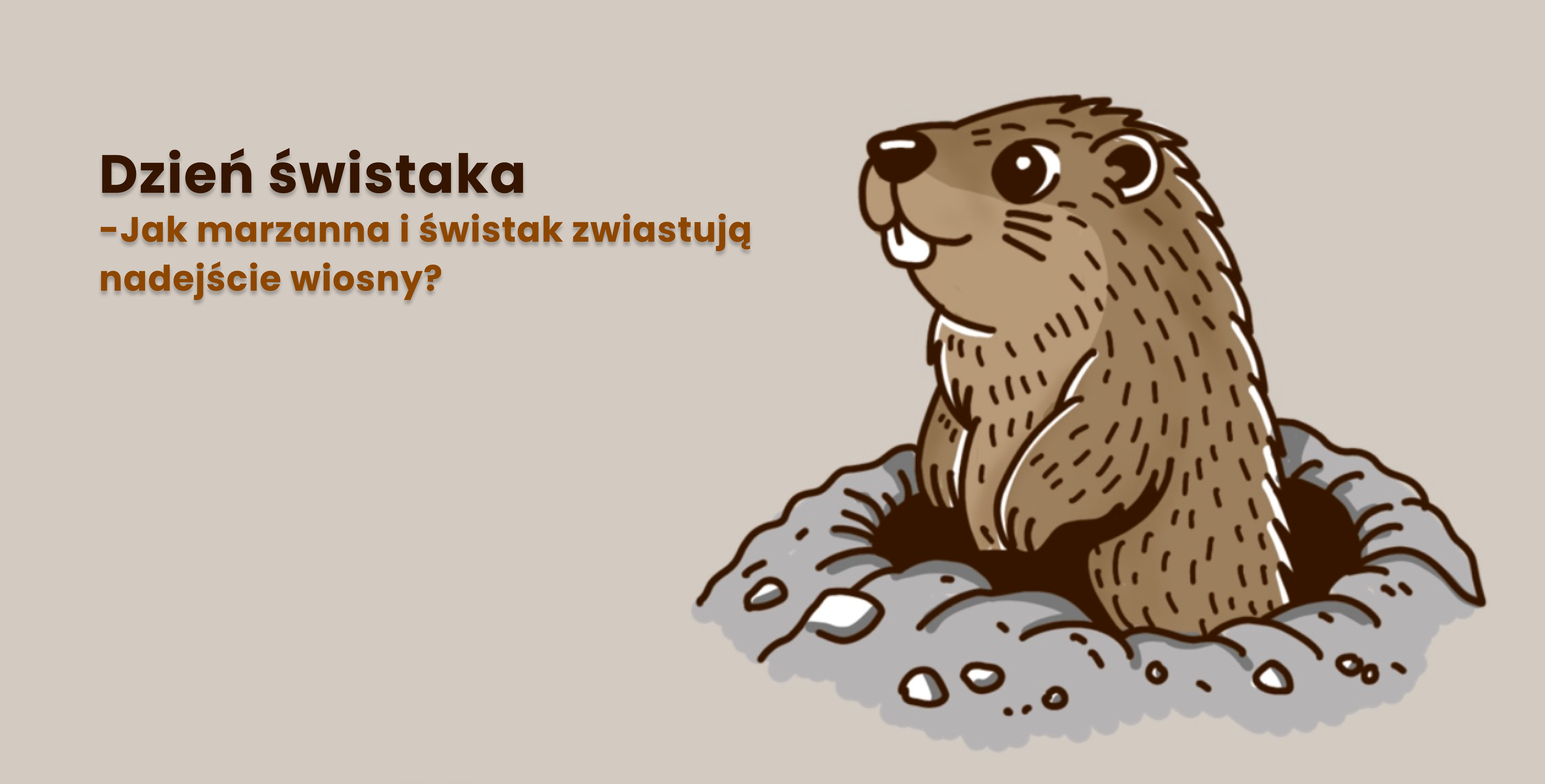Co ma wspólnego z wiosną przewidujący gryzoń lub topienie kukły? O dziwo bardzo dużo – a dokładnie są to sposoby na jej przywołanie lub sprawdzenie kiedy nadejdzie. Bo choć wizja ciepła tuż za rogiem, to cały czas nas zwodzi przeplataną pogodą, a więc warto ten czas umilić i sprawdzić czy metody przodków mają sens.