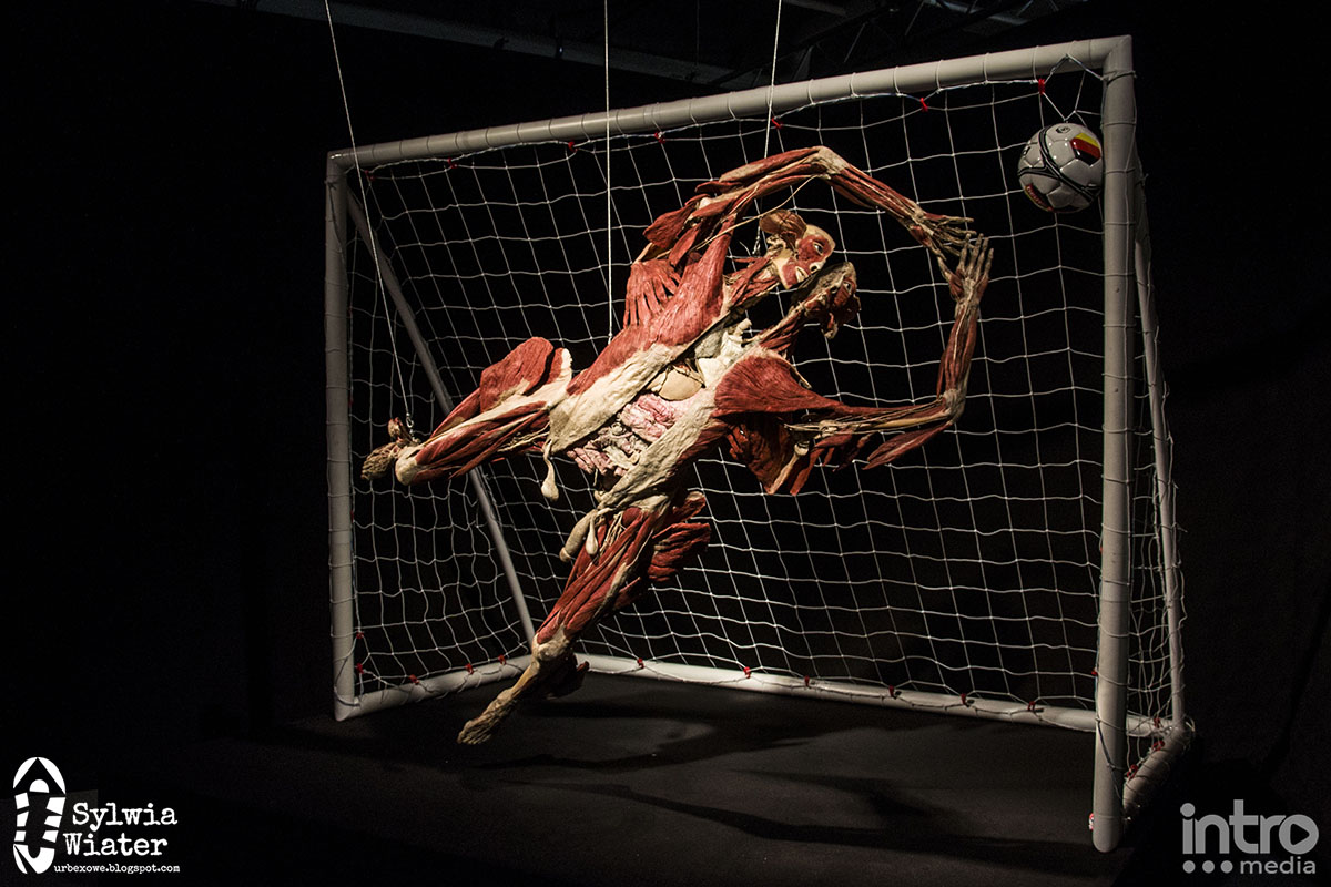 BODY WORLDS VITAL