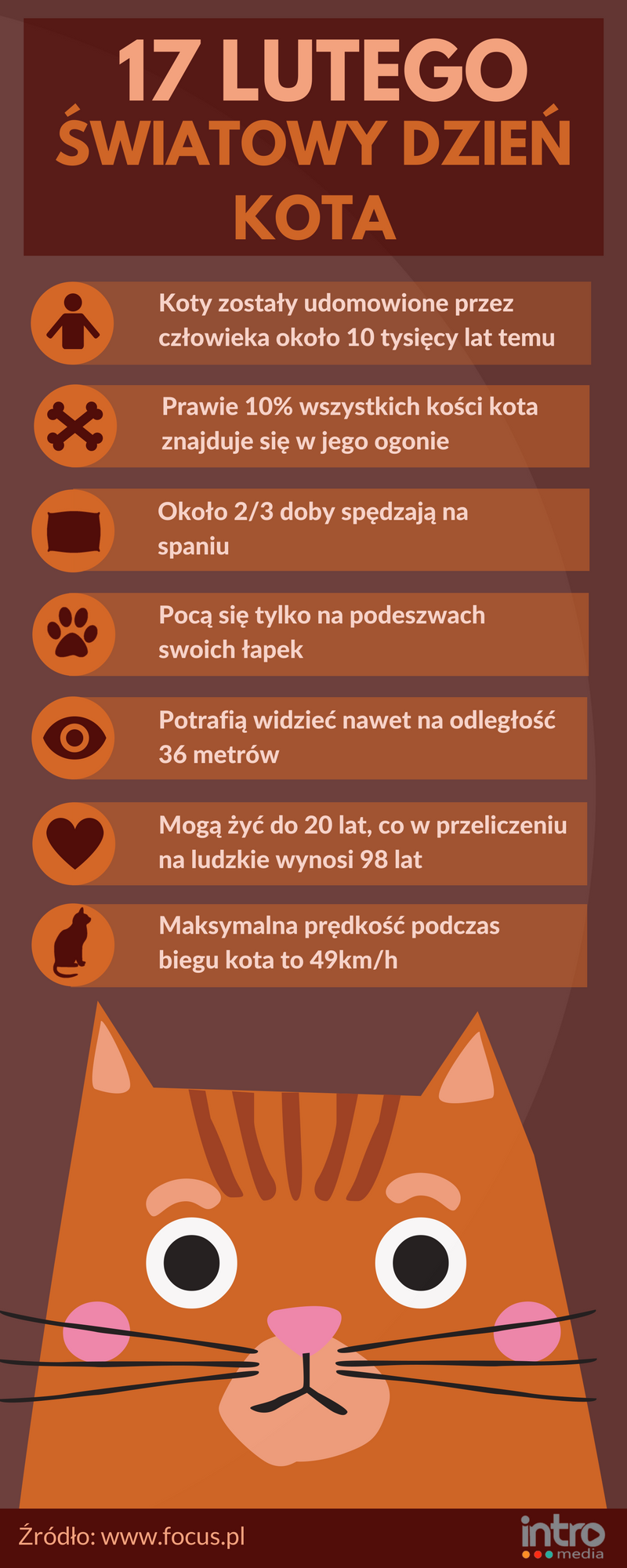 Dzień kota